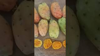 Cacti 🌵. Close-up of cactus fruits / Кактусы 🌵. Плоды, фрукты крупным планом #cactusfruit #cactus