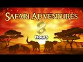 Beginning of video