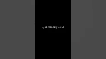 اذ ه ب أ نت و أ خ وك ب آي ات ي و ل ا ت ن ي ا ف ي ذ ك ر ي تلاوة خاشعة شاشه سوداء 