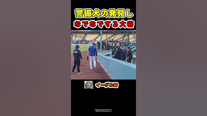 警備犬をなでなで、最後はボールをプレゼントする大谷【ドジャース大谷翔平ホームラン】 #野球