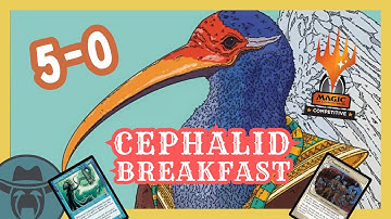 UNDEFEATED w/ L4rsson