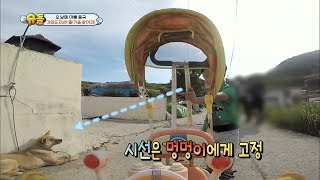 [60초 에디터Pick] 무서운 댕댕이 피해가는 방법(찌아니Ver.) ㅣ KBS방송