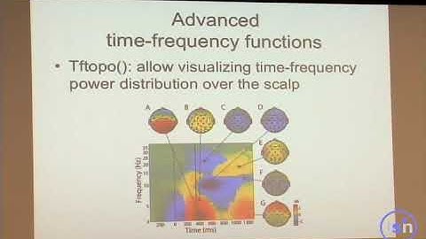 EEGLAB time-frequency decomposition Part 6: Nyquist, time-frequency topography and exercises