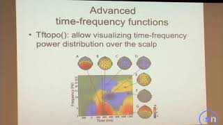 EEGLAB time-frequency decomposition Part 6: Nyquist, time-frequency topography and exercises