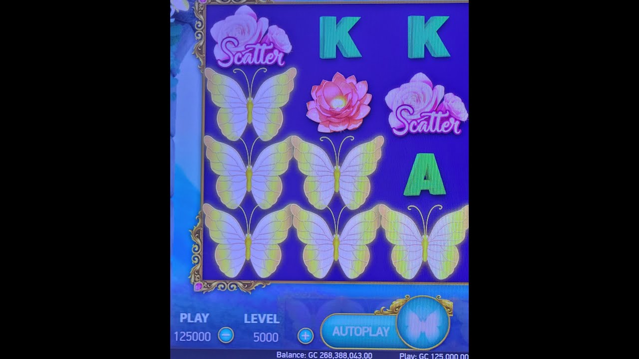 Chumba Casino GC Big Win on Butterfly Sstaxx 2 YouTube