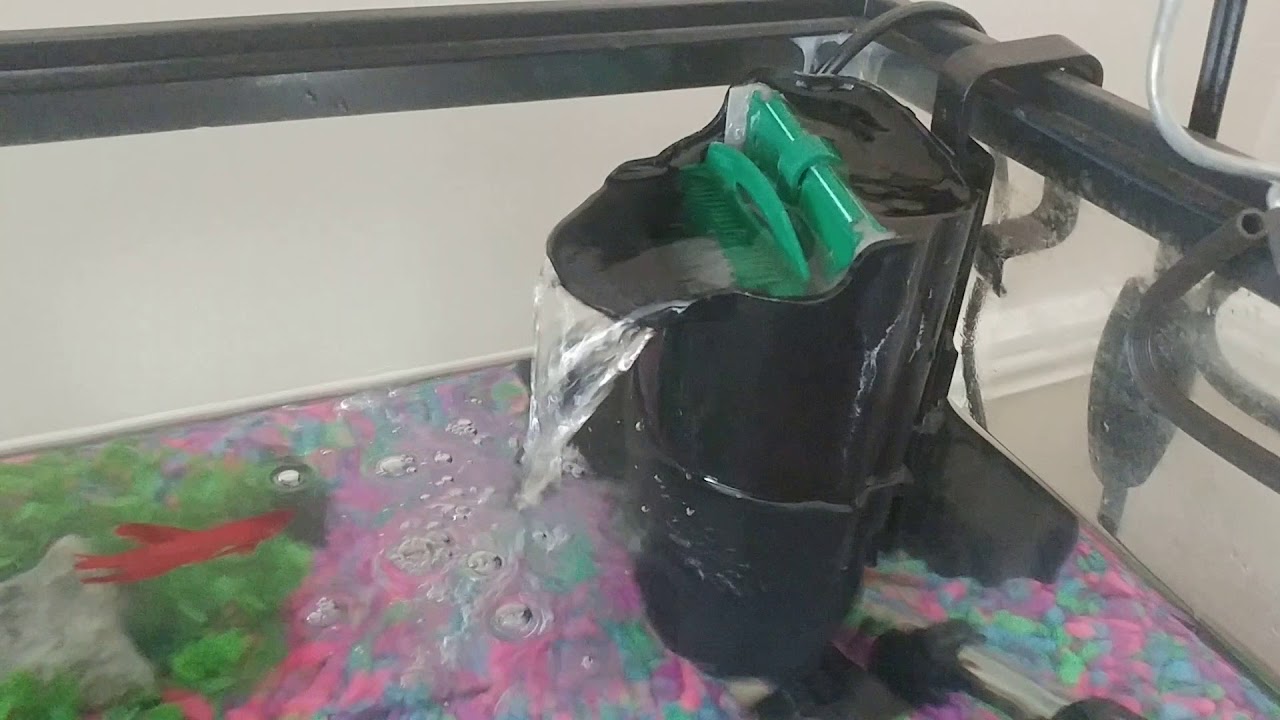 Filtration: Internal Filter