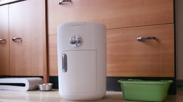 Dooli™: The Working Prototype