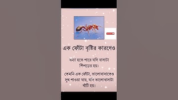 Islamic video Bangla - #islamicshorts #islamicstatus #status #hadith #shorts #quran #motivation #dua