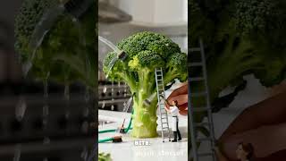 a giant broccoli being cooked by tiny workers #shorts #viralvideos #miniature #broccoli