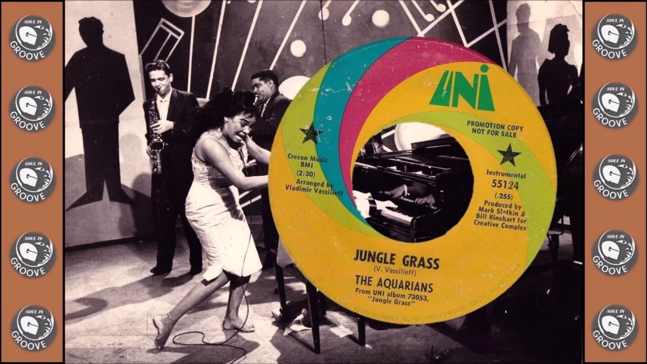 The Aquarians......Jungle Grass