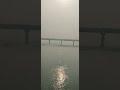 Yamuna River#viral #viralvideo #video #reels #trending #shorts