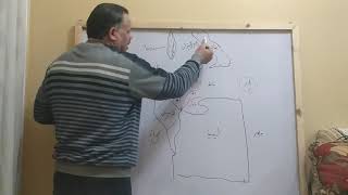 خريطه ليبيا وتونس ( النزاع في منطقه الرصيف القاري)