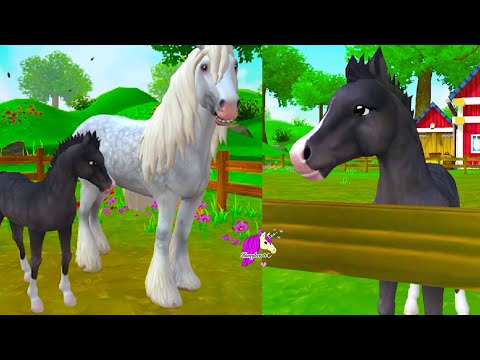 New Foal ! Buying New Irish Cob Draft Horse Star Stable Online Horse App Video