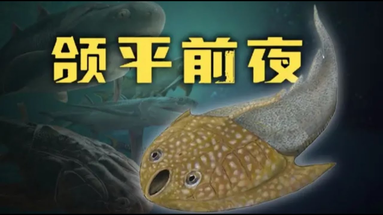 【鬼谷说】甲胄鱼：一鱼永生 万鱼陨落