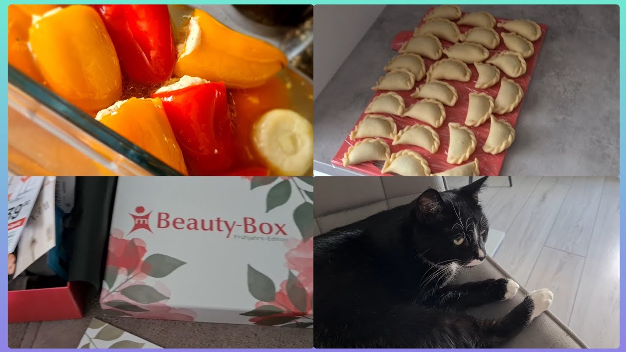 Антипасти . Тайсон заболел.  Аптечная коробочка