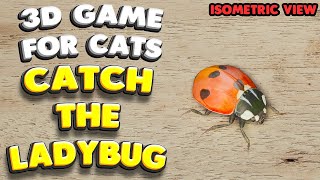 3D game for cats | CATCH THE LADYBUG (isometric view) | 4K, 60 fps, stereo sound screenshot 3