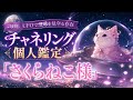 【 個人鑑定 公開 】さくらねこ様 チャネリング 前世 オーラ