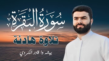 سورة البقرة كاملة بصوت الشيخ بيشه وا الكردي تلاوة هادئة ومريحة تقشعر لها الأبدان😌 حفظ وتحصين للمنزل🏠