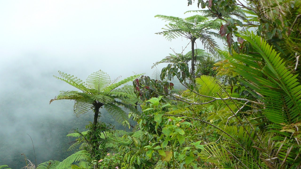 Wonderful Indonesia. Bali Lempuyang. Ostrov Bali. Dovolená 