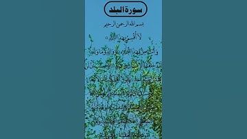SURAH AL BALAD سورة البلد #egzonibrahimi #quran #surahalbalad #albalad