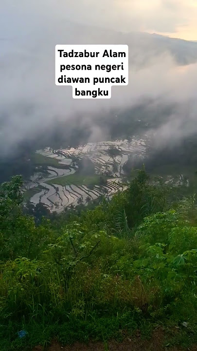 #pesonaindonesia #ciamismanis #rancah #paudindonesa #tambunselatan #jawabarat