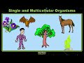 Life at the Cellular Level: Unicellular vs Multicellular Organisms