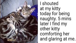 Times Our Pets Poked Us Right in the Heart