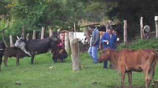 Un dia de campo en Tierras Nuevas Postrervalle