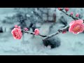 怀旧金曲《梅花雪❄Plum Blosson In Snow》Solo Ling Ling❄ 祝2022新年快乐！