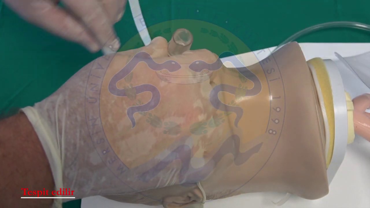 Elektif Şartlarda Entübasyon Uygulama Becerisi