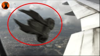 #5.【旅客機に緊急接近】カメラが捉えた日本のUFO・UMA映像