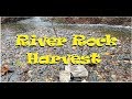 River rock harvest