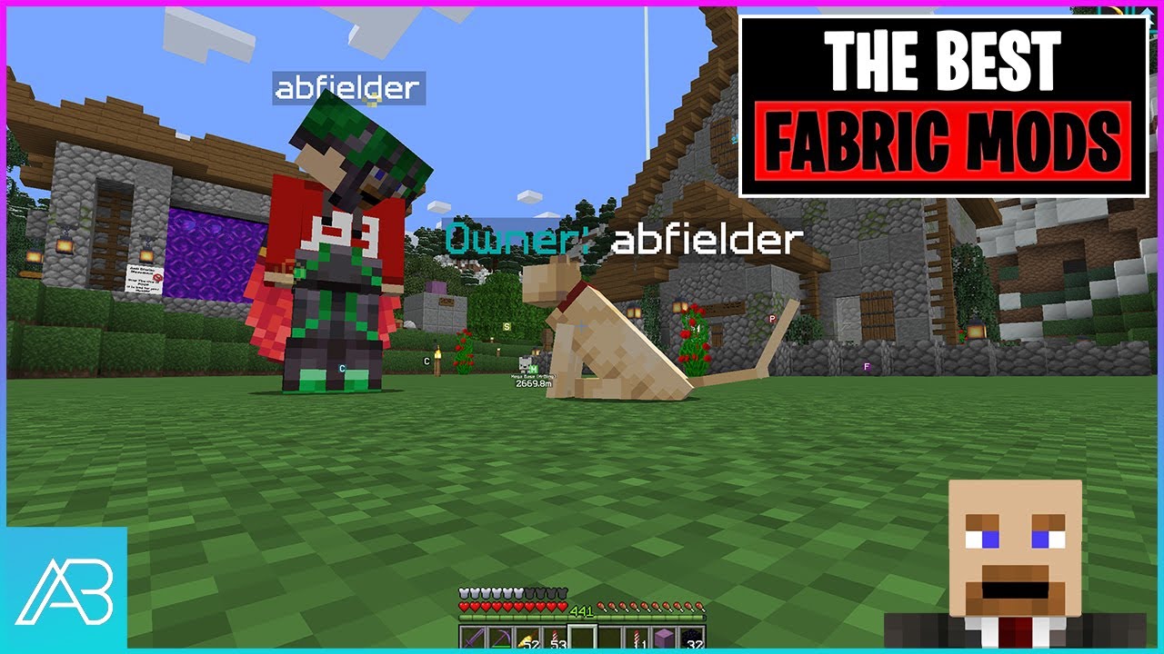 Minecraft fabric mods you should use pet owner whose is that cat
