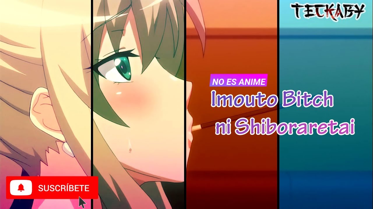 Imouto Bitch Ni Shiboraretai 3