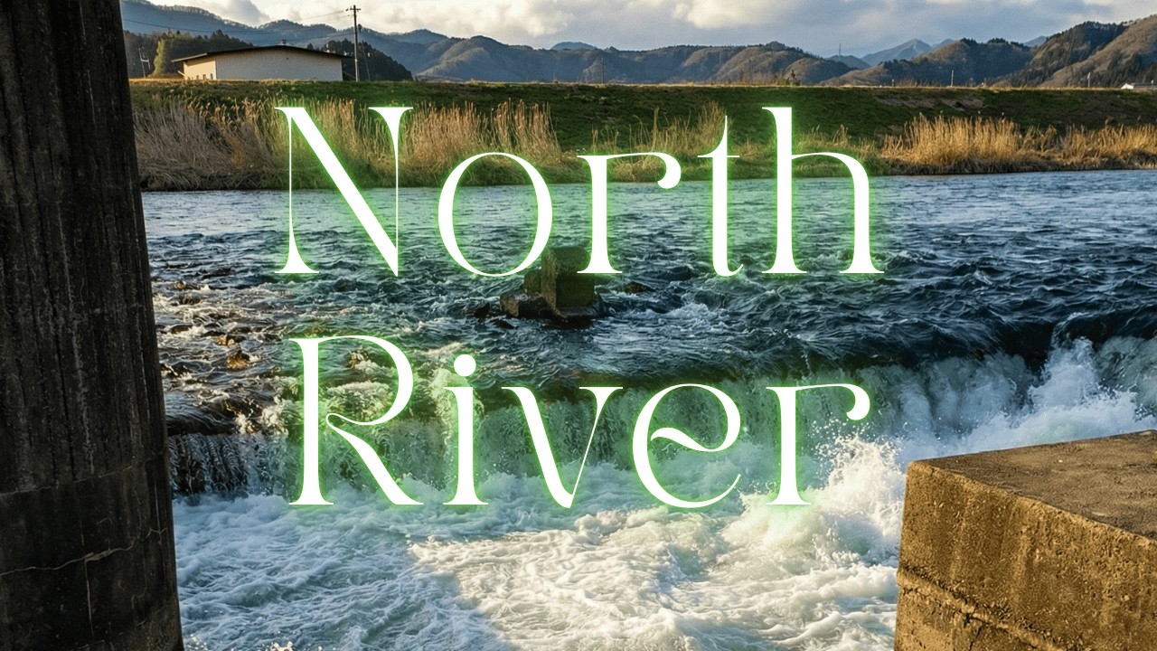 【一級河川】福井県若狭町 北川 🏞️｜2026年2月22日撮影