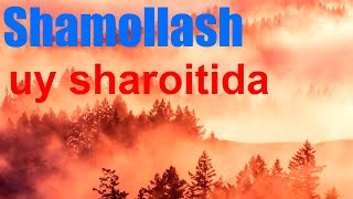 Shamollashda - uy sharoitida muomlaja qilish