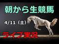 中央競馬【競馬実況】　生配信！！（阪神、中山）