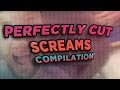 Perfectly Cut Screams Compilation