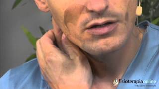 Tratamiento para el dolor de cuello, cabeza y esternocleidomastoideo  Fisioterapia Bilbao