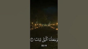 الشيخ ياسر الدوسري سورة النبأ