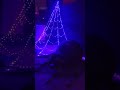 Ghost Walk for Charity Cornwall #viral #youtubeshorts #shorts #short #shortvideo #ytshorts #trending