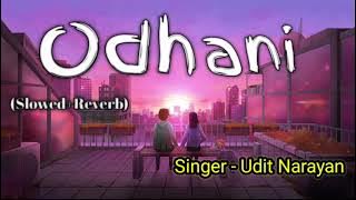 Odhni Odh Ke Nachu (Slowed Reverb) Tere Naam | Salman Khan | Udit Narayan | Alka Yagnik |