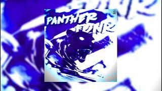 PANTHER FUNK(SUPER SLOWED)