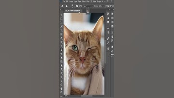 Clone Tool best use|Cat eye making| Photoshop Tips and Tricks | Photoshop advance tutorials #short
