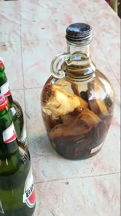 Obat ramuan dari kelamin buaya jantan