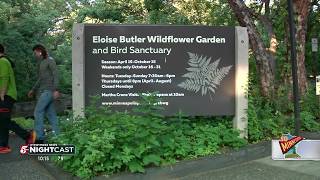 So Minnesota: Eloise Butler Wildflower Garden and Bird Sanctuary