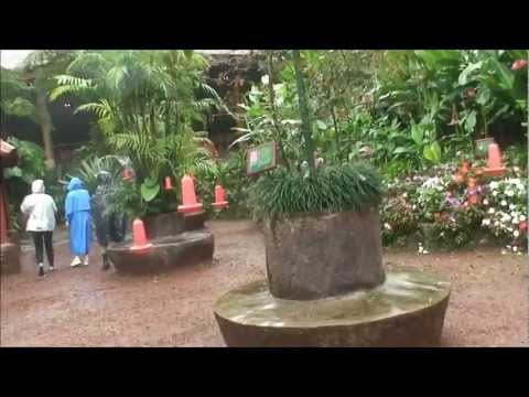 Costa Rica - La Paz Waterfall Gardens - Eturia Romania