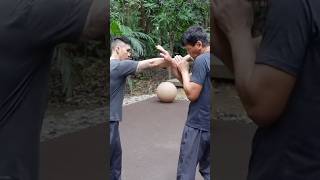 The Kicks of Yaw Yan - rare Filipino Martial Art