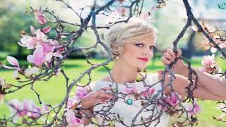 Rex Rizz Stormy Rar Production