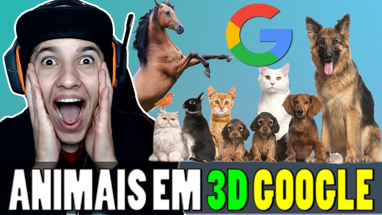 Google Brasil on X: 👉 Como ver os animais em 3D usando a busca do Google?  1️⃣Usando o seu smartphone, busque no Google o nome do animal que você quer  pesquisar. 2️⃣